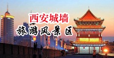 野娘子的操逼视频中国陕西-西安城墙旅游风景区