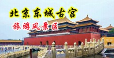 人操逼女人操逼中国北京-东城古宫旅游风景区